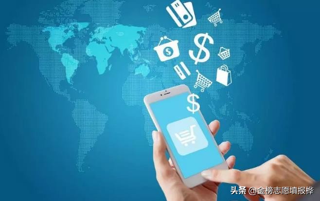 電子商務(wù) 平臺(tái)開(kāi)發(fā)與運(yùn)營(yíng)的核心解析