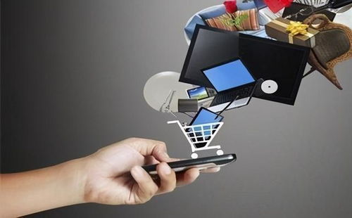 尊享V服務(wù)熱潮下的網(wǎng)絡(luò)購物監(jiān)管與互聯(lián)網(wǎng)安全服務(wù)